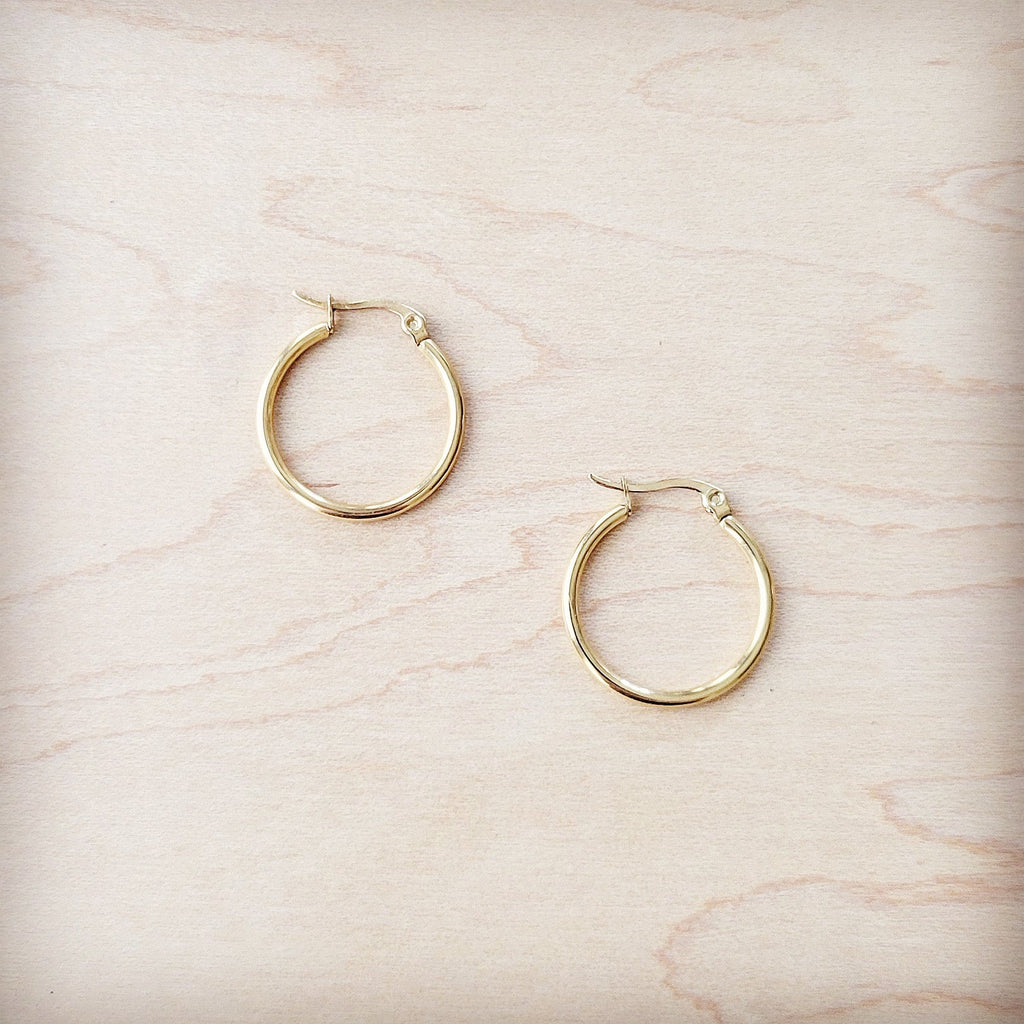 **Small Stainless Steel Hoop Earrings 18K Gold Plating 219a