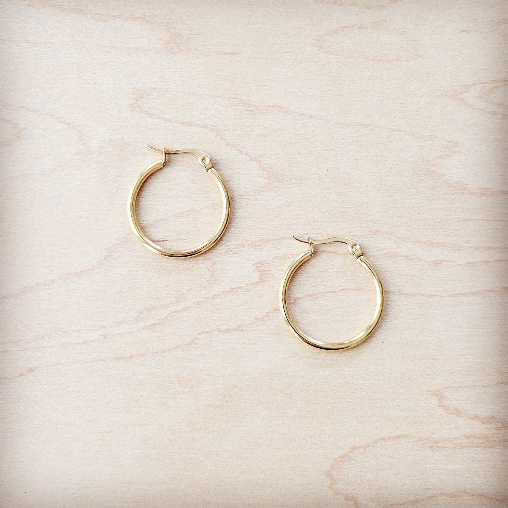 **Small Stainless Steel Hoop Earrings 18K Gold Plating 219a