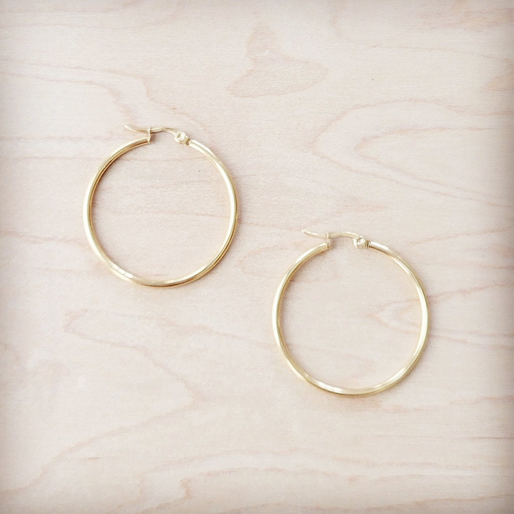 **Medium Stainless Steel Hoop Earrings 18K Gold Plating 219b